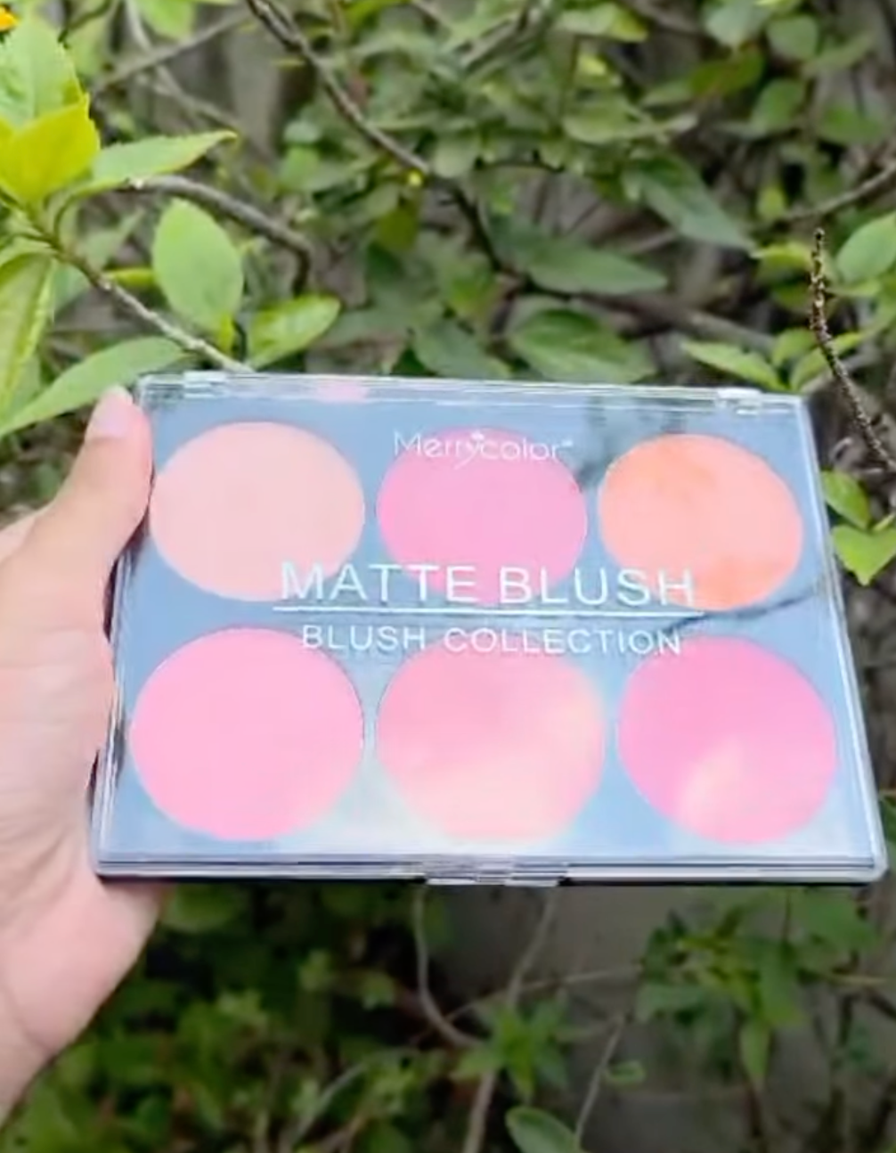 Merry color Blushon