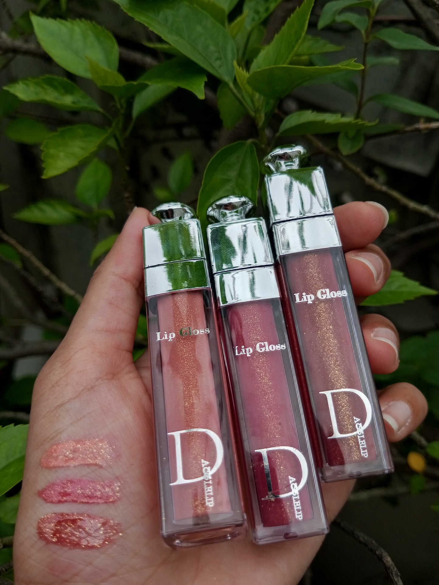 Dior Lipgloss ( Pack of 6 )