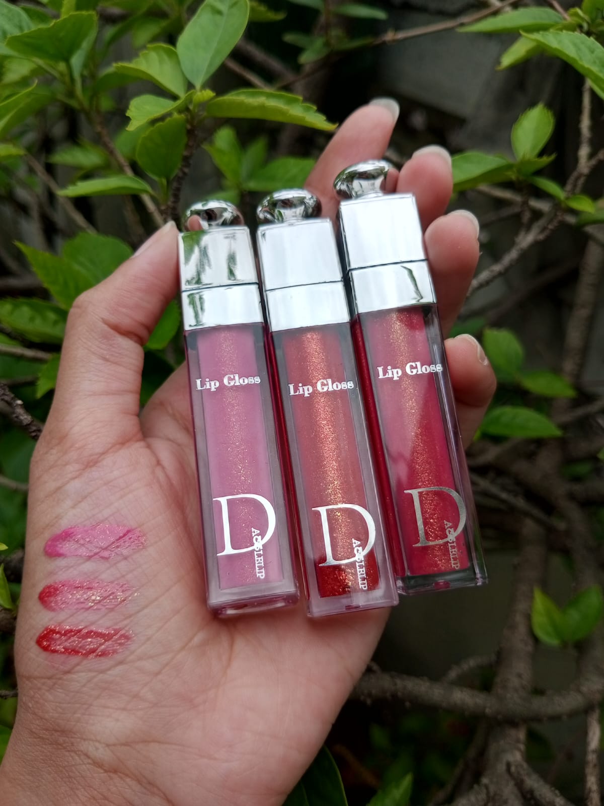 Dior Lipgloss ( Pack of 6 )