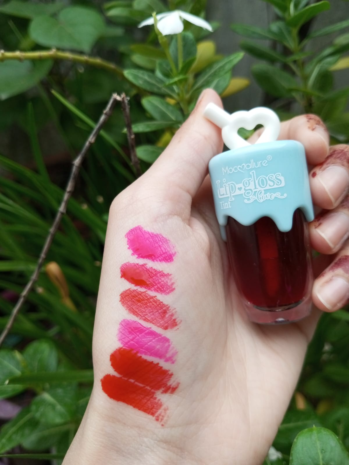 mocallure lip gloss tint love ( PACK OF 6 )