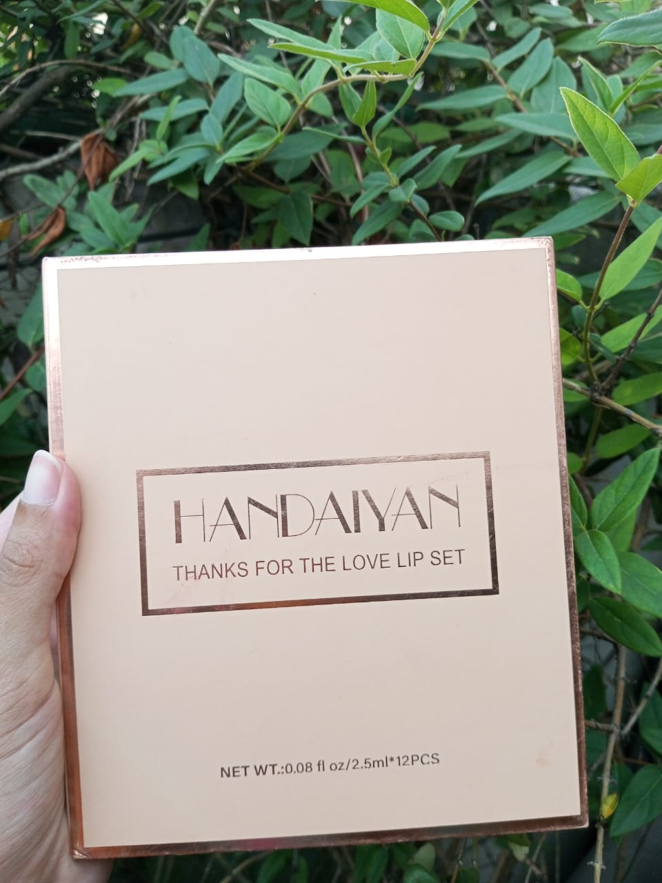 Handaiyan Lip Gloss 12 pc set