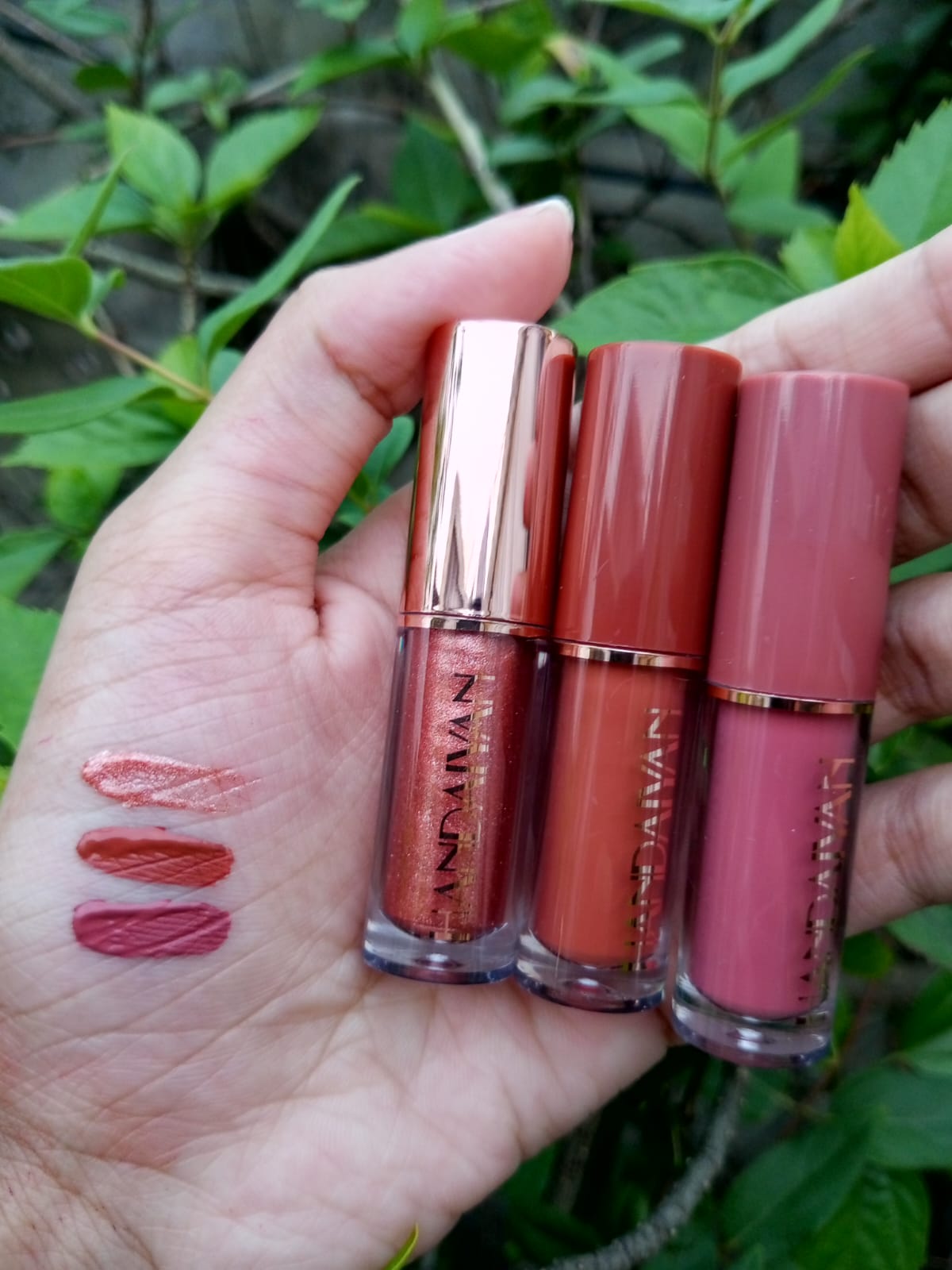 Handaiyan Lip Gloss 12 pc set