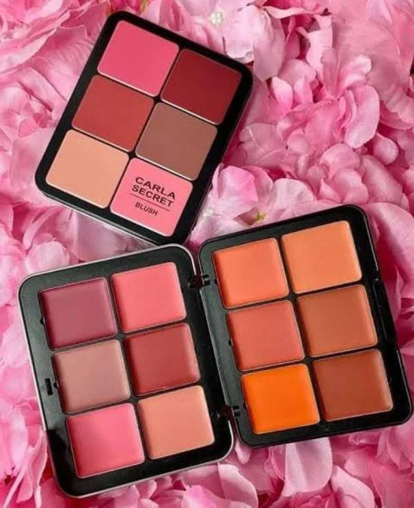 Colorme Carla Secret 12-Colour Cream Blush Palette