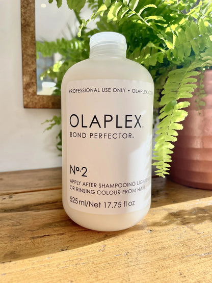 OLAPLEX no 2 bond perfector 100 ml - Buy Now Pakistan