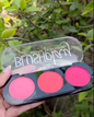 Merry Color Blush Play palatte