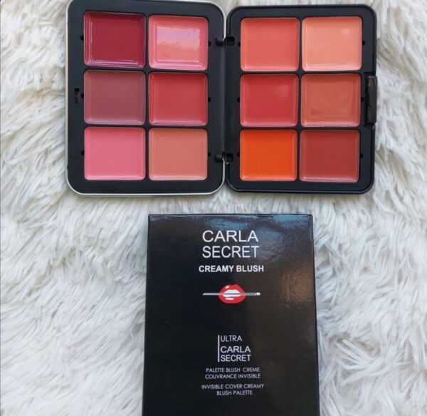 Colorme Carla Secret 12-Colour Cream Blush Palette