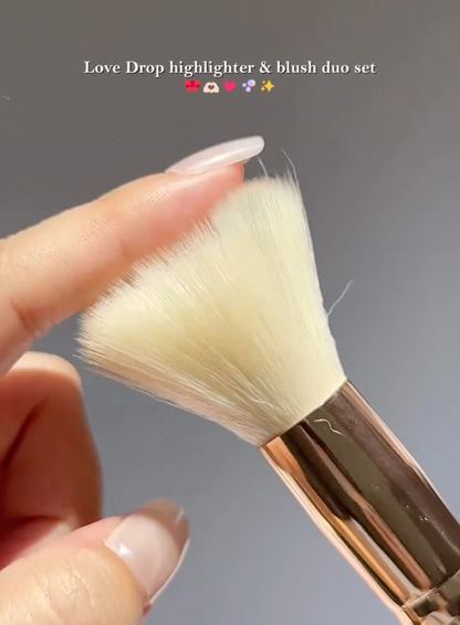 Kevin & Coco Liquid Highlighter, liquid blush and Brush Set