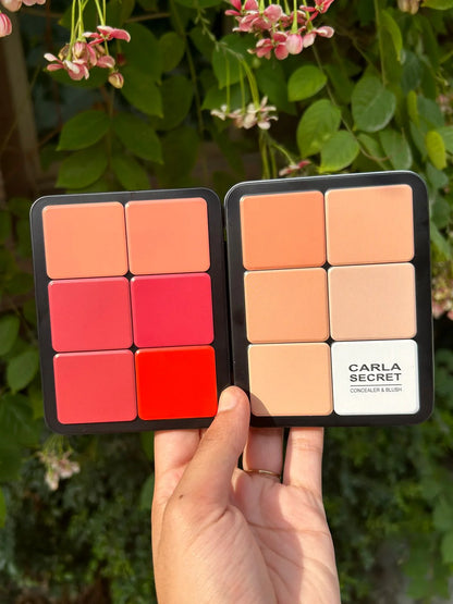 Carla Secret Concealer & Blush Professional Makeup