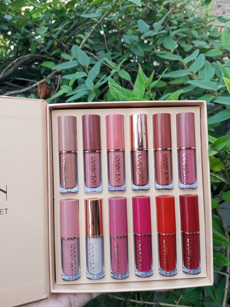 Handaiyan Lip Gloss 12 pc set