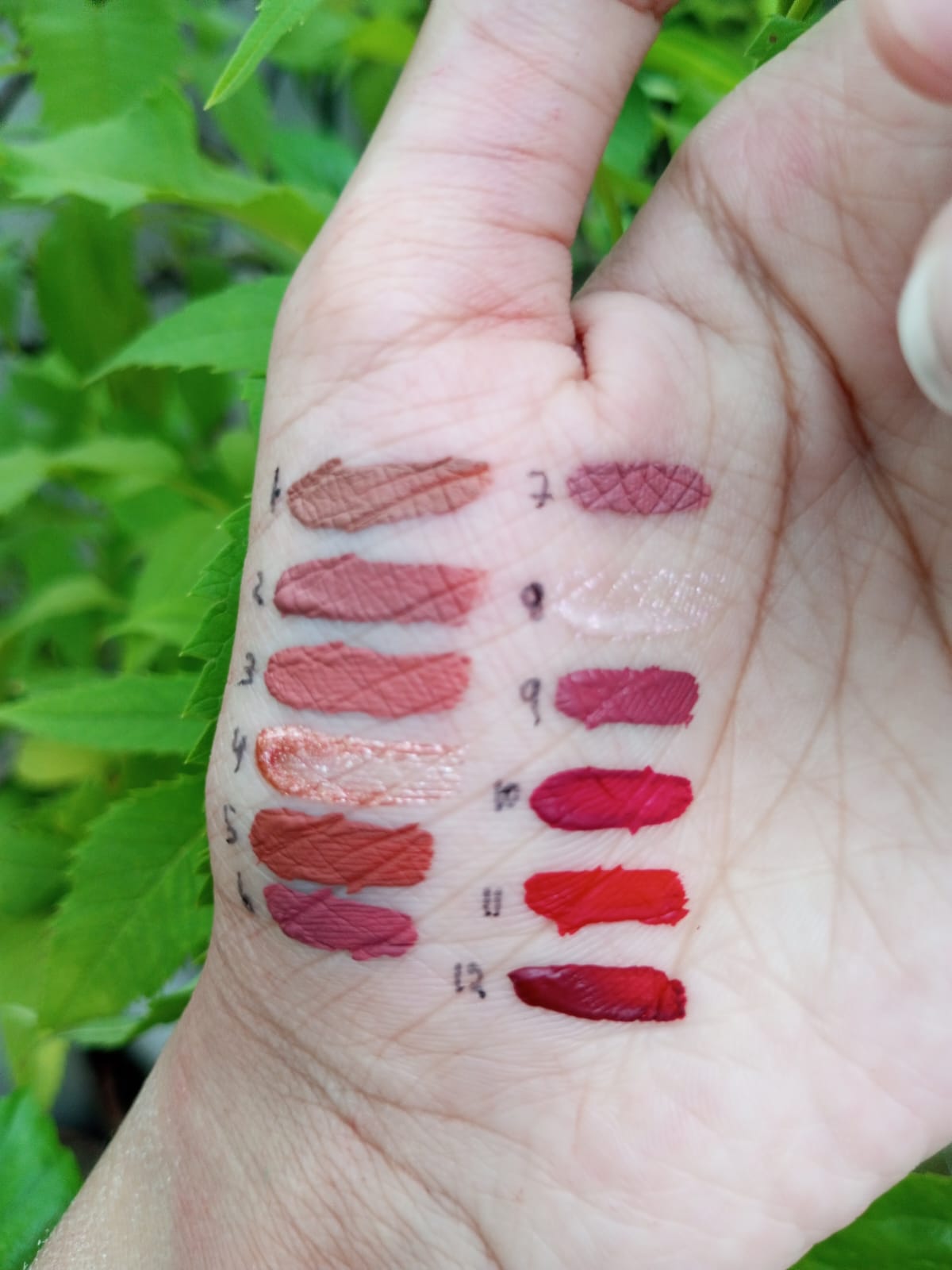 Handaiyan Lip Gloss 12 pc set